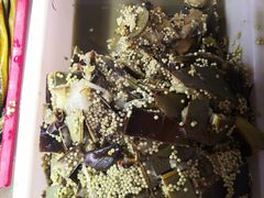 -大树下饭店(春晓镇慈岙社区卫生服务站南)