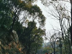 -岳麓山风景名胜区