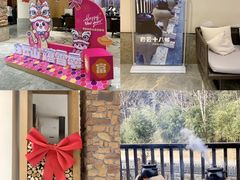 -洛阳白云山景区