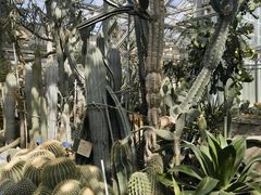 -国家植物园南园