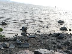 -福田红树林生态公园