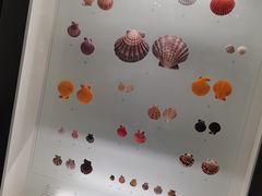 -青岛贝壳博物馆