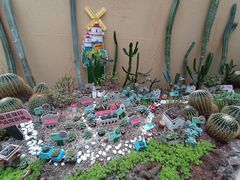 -正佳雨林生态植物园