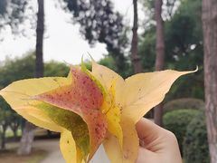 -费大厨辣椒炒肉(泊富店)