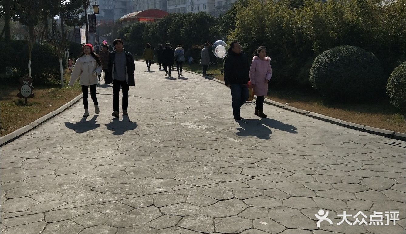 大菠萝哟 2019新年愿望~之一
