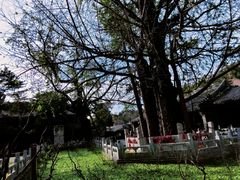 -潭柘寺景区