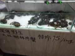 -海盗餐厅
