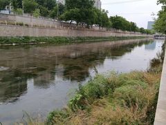 -坝河休闲公园