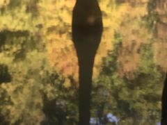 -云溪植物园