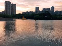 -青枫公园