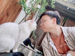 -喵屿·大理花园猫咖