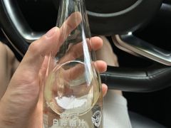 -东莞植物园