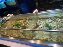 -V-ONE西雅图海鲜自助餐厅(仓山万达广场店)