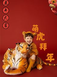 -蜜阁孕味亲子摄影(太奥广场店)