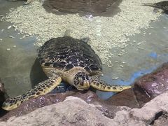-杭州长乔极地海洋公园