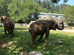 -北京野生动物园