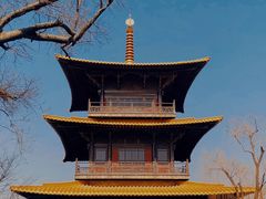 -广富林郊野公园