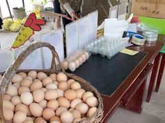 -马陆小张葡萄园农家乐