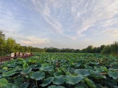 -云龙湖旅游景区