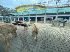 -西安秦岭野生动物园