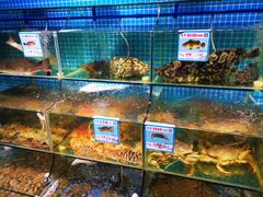 -范饭椰林川湘味海鲜·椰子鸡(三亚湾椰梦长廊店)