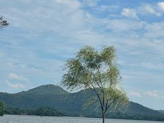 -浙江省博物馆(孤山馆区)