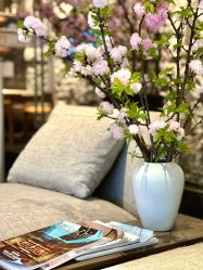 -VELEE·SPA高定疗愈会所