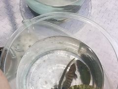 -小猫钓鱼海钓俱乐部(椰梦长廊店)