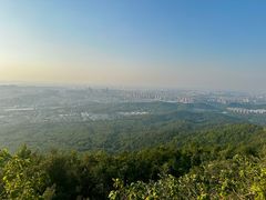-紫金山山顶公园