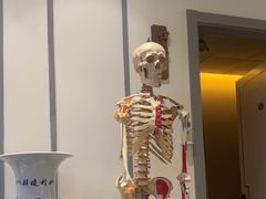 -席仁堂推拿按摩脊柱调理(世纪科贸大厦店)