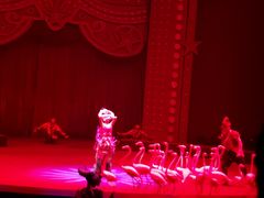 -珠海横琴长隆《卡卡虎奇遇记》