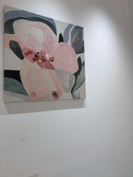 -郑州米兰柏羽集美医疗美容医院