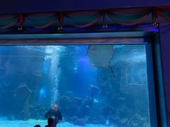 -石家庄海洋公园