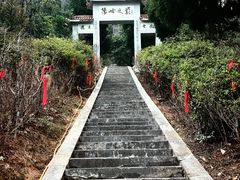 -江西阳明山国家森林公园
