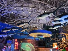 -烟台海昌鲸鲨海洋公园