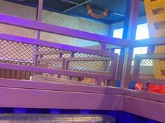 -虾乐园龙虾·夜宵(松江店)