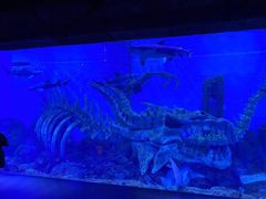 -波塞冬旅游度假区