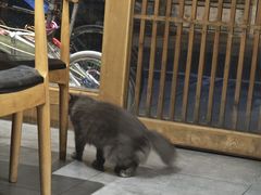 -信日本料理(信义坊店)