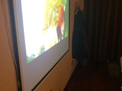 -大观园影院式足浴Spa店(沙坪坝店)