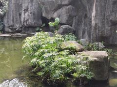 -荔枝公园(福田区)
