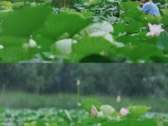 -前关湿地公园