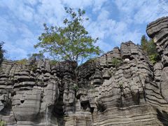 -梭布垭石林景区