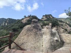 -大岭沟猕猴桃谷风景区