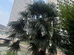 -大神太神·铁板烧(七宝领展广场店)