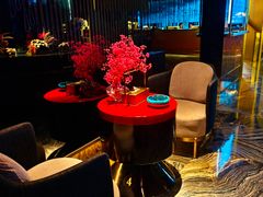 -索拉古贝(义乌北苑店)