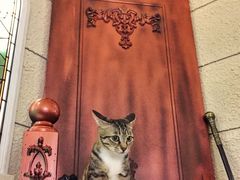 -逃脱反斗城沉浸剧情密室(北京路店)