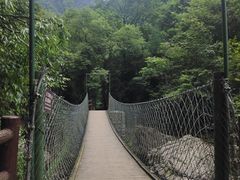-西岭雪山大飞水景区