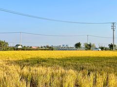 -莲花岛景区
