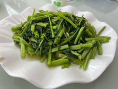 -喜羊羊土菜馆(世纪广场店)