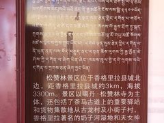 -噶丹松赞林寺